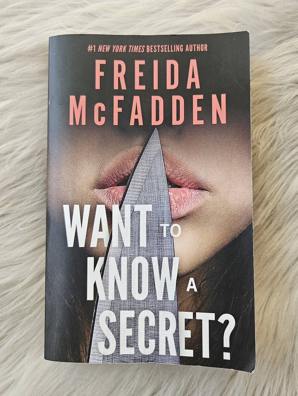 Frieda McFadden Novel